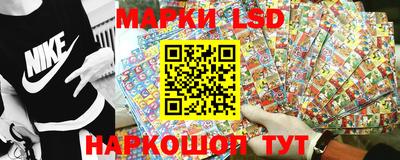 стафф Новокубанск