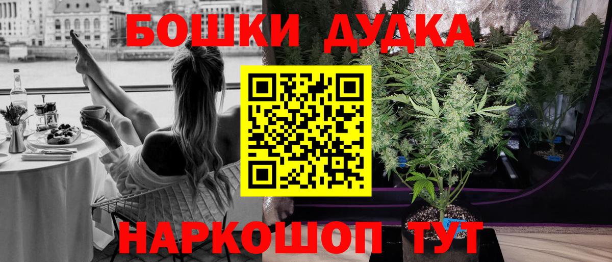 Петропавловск-Камчатский  Бошки Шишки ГИДРОПОН  Каннабис ГИДРОПОН  Марихуана план  Вход с VPN 